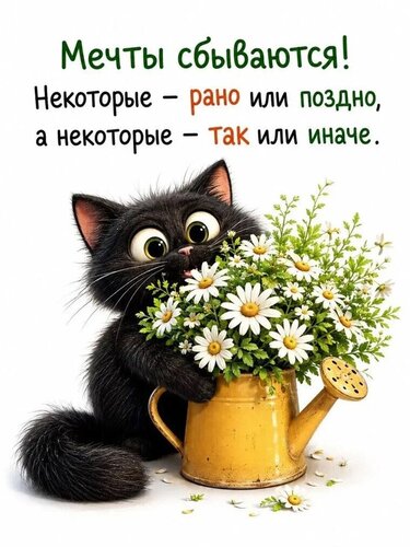 Открытка Мечты сбываются