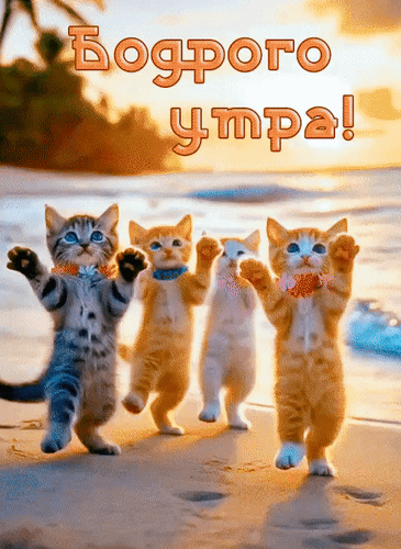 Анимированная открытка Бодрого утра!