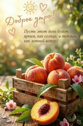 Открытка Доброе утро