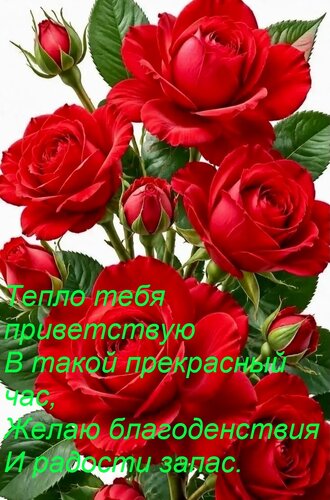 Открытка Тепло тебя приветствую В такой прекрасный час, Желаю благоденствия И радости запас.