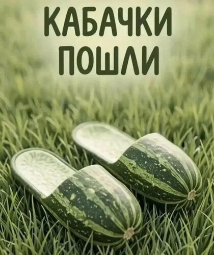 Открытка Кабачки пошли