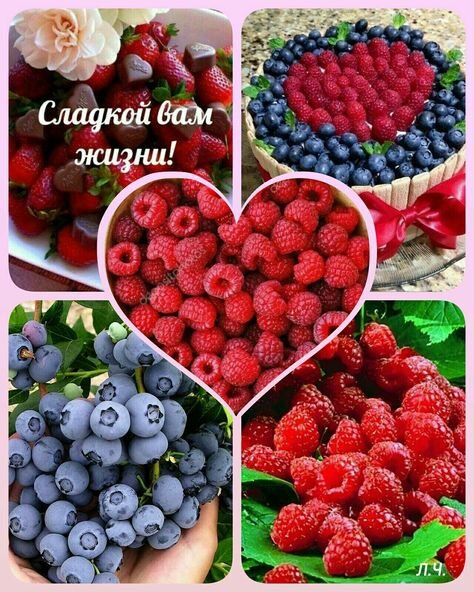 Открытка сладкой вам жизни