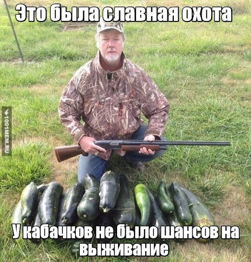 Открытка У кабачков не было шансов