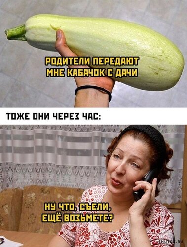 Открытка Передают кабачок
