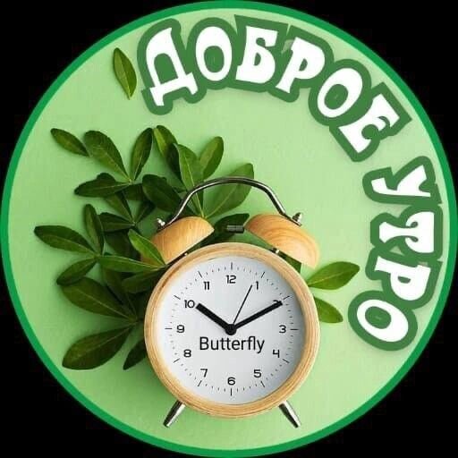 Открытка Доброе утро