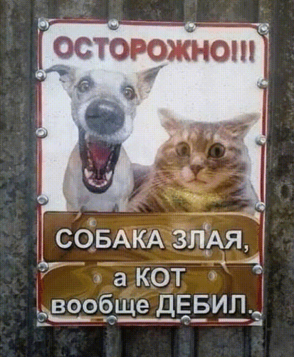 Анимированная открытка ЮМОР