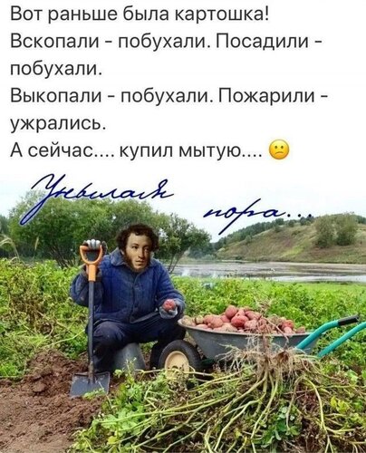 Открытка Унылая пора