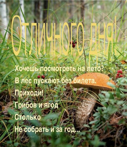 Открытка отличного дня лета