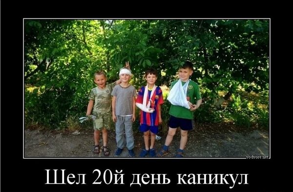 Открытка Шел 20 день каникул