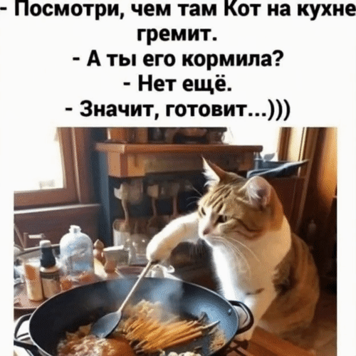 Анимированная открытка - Посмотри, чем там кот на кухне гремит. - А ты его кормила? - Нет ещё. - Значит, готовит...)))