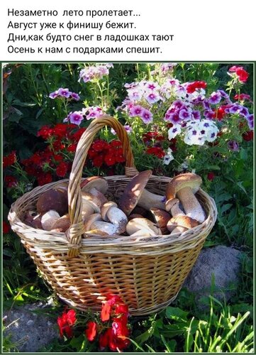 Открытка незаметно лето пролетает