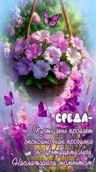 Открытка среда