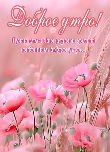 Открытка Пусть маленькие радости делают особенным каждое утро...