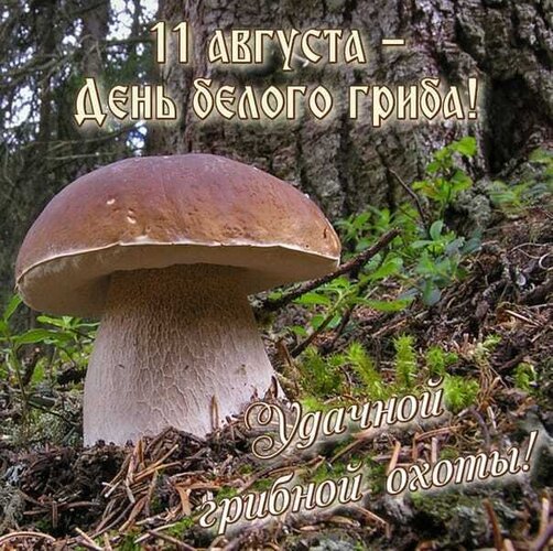 Открытка С днём белого гриба
