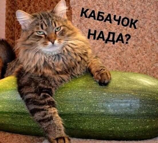 Открытка Кабачок нада