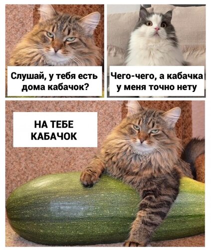 Открытка кабачка у меня точно нет