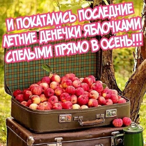 Открытка Август