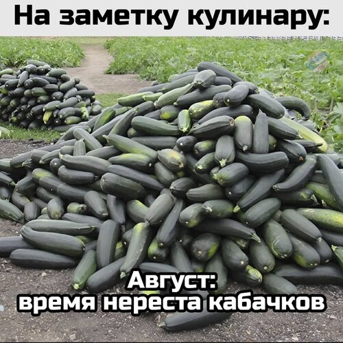 Открытка Август время нереста