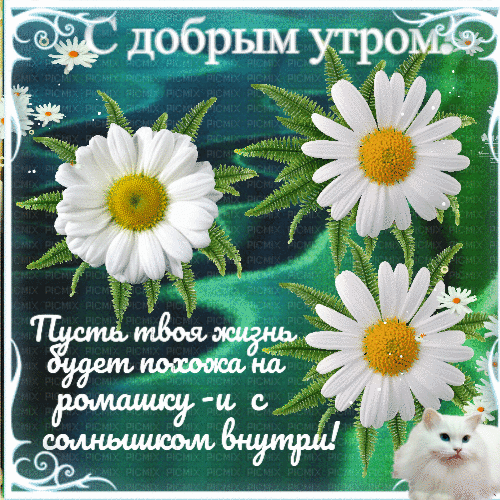 Анимированная открытка С добрым августовским утром!