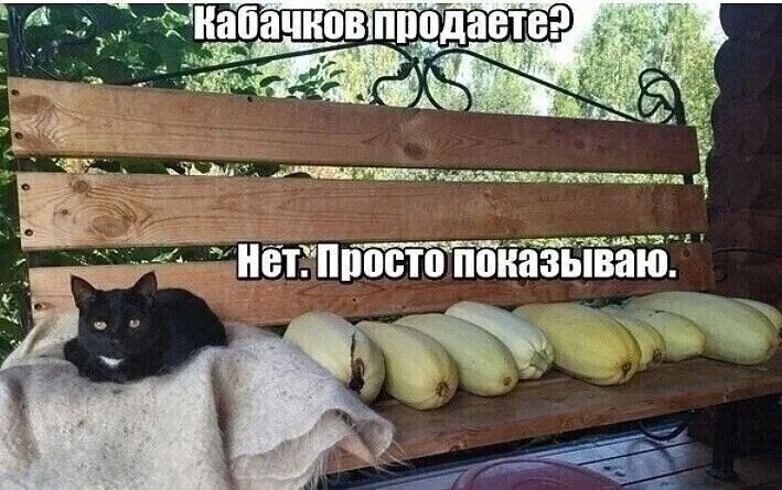 Открытка кабачков продаете