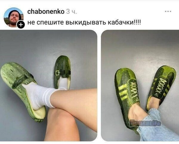 Открытка Кабачки