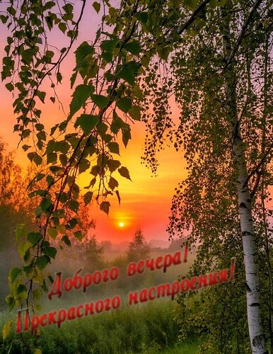 Открытка Доброго вечера..!