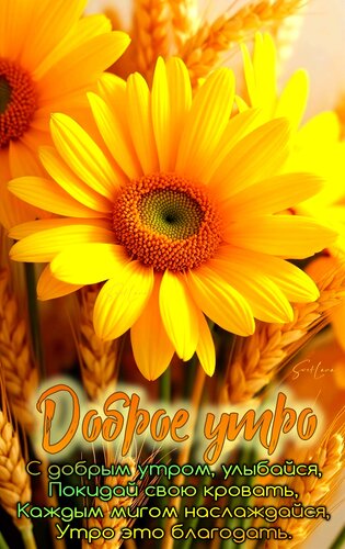 Открытка Доброе утро