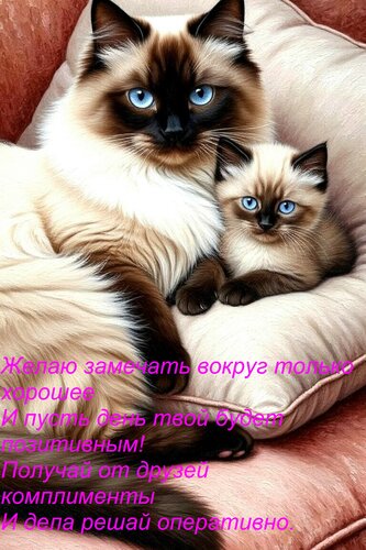 Открытка Желаю замечать вокруг только хорошее И пусть день твой будет позитивным! Получай от друзей комплимен