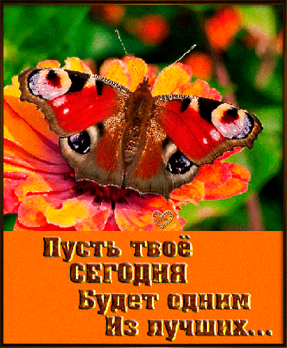 Анимированная открытка Пусть сегодня будет лучшим