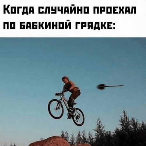 Анимированная открытка Когда случайно проехал по бабкиной грядке