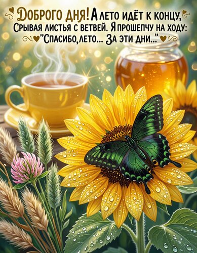 Открытка Добрый день