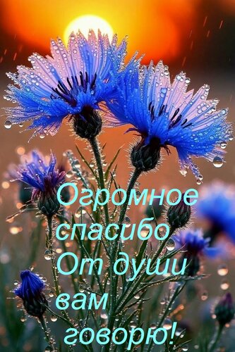 Открытка Огромное спасибо От души вам говорю!