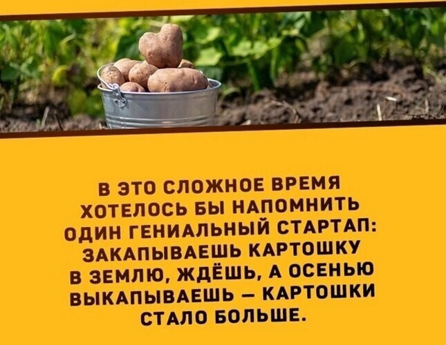 Открытка осенью выкапываешь больше