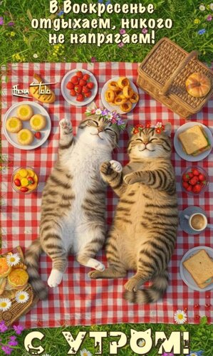 Открытка С утром