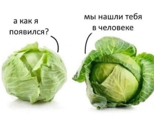 Открытка как я появился