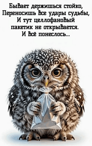Анимированная открытка ЮМОР