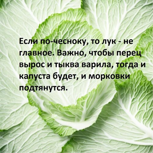 Открытка если по чесноку