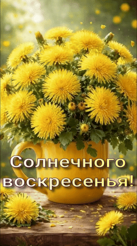 Анимированная открытка Солнечного воскресенья!