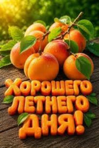 Открытка Хорошего летнего дня
