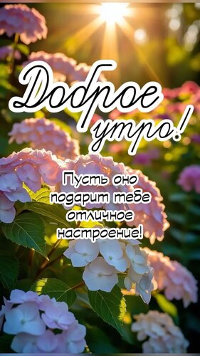 Открытка Пусть оно подарит тебе отличное настроение!