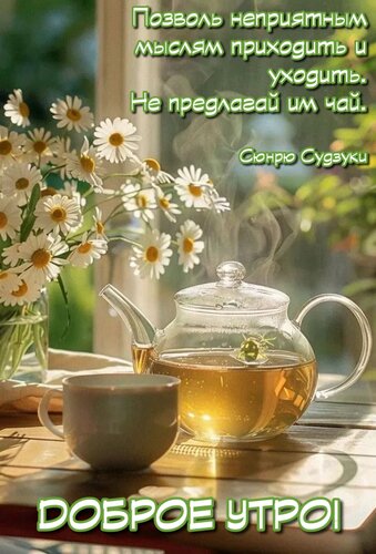 Открытка Позволь неприятным мыслям приходить и уходить. Не предлагай им чай. Сюнрю Судзуки