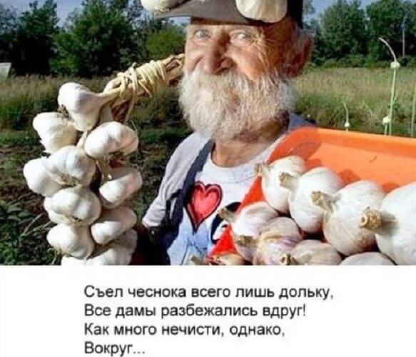 Открытка Как много нечисти однако