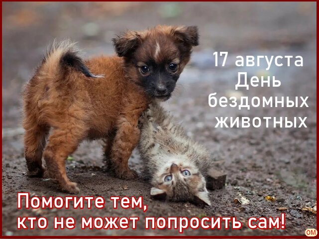 Открытка День бездомных животных 2