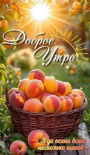Открытка Доброе утро