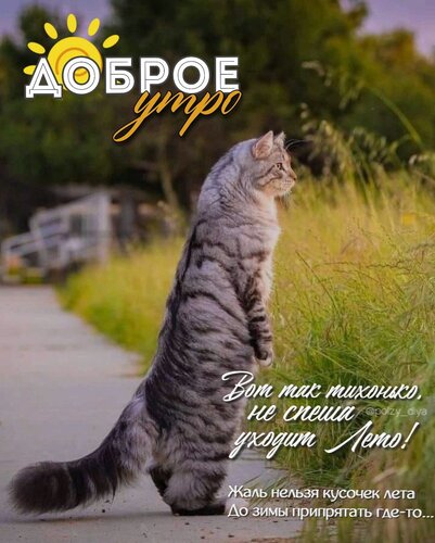 Открытка Доброе утро