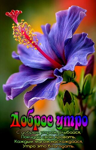 Открытка Доброе утро