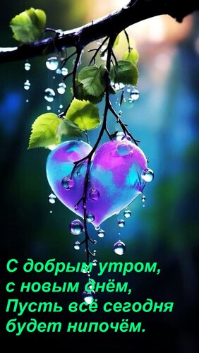 Открытка С добрым утром, с новым днём, Пусть всё сегодня будет нипочём.