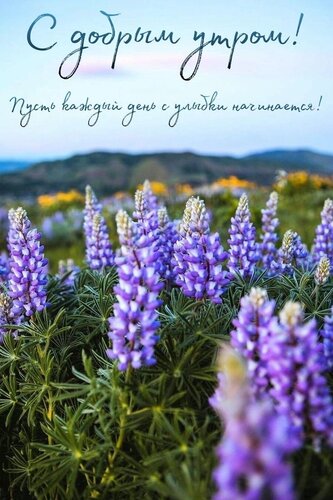 Открытка Доброе утро