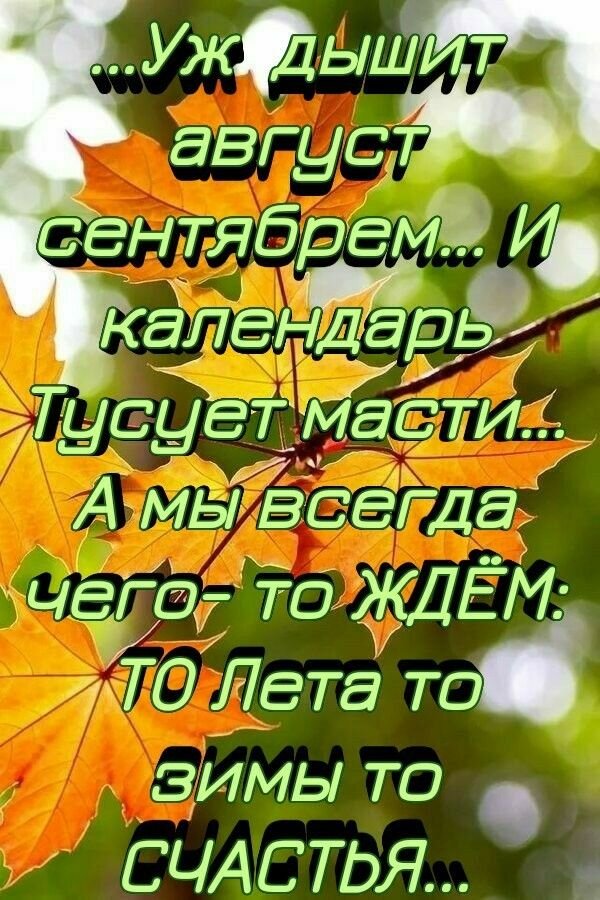Открытка Уж дышит Август Сентябрем