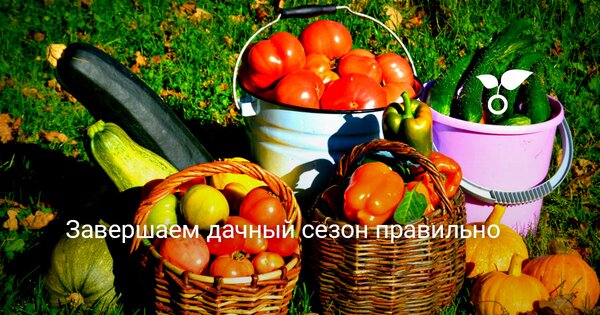 Открытка Завершаем дачный сезон правильно